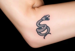 Snake wrapped in web tattoo idea