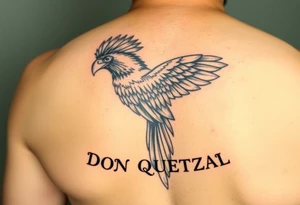 powerful majestic quetzal bird with long feathers and letters DON QUETZAL. full colors tattoo idea