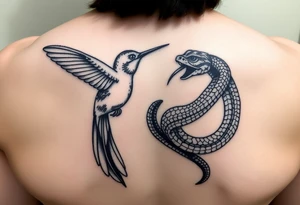 Humming bird looking down at snake while snake tail wrapped around humming bird and snake hissing at humming bird tattoo idea