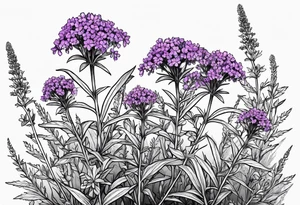 Generate a picture of Vervain (Verbena) flowers with small leaves around them. tattoo idea