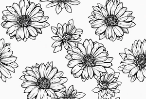 aster flower with roman numerals IX-VI-LVII tattoo idea