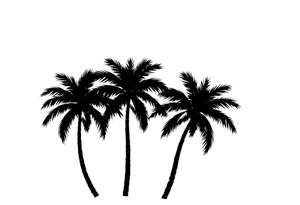 Palm trees, silhouette,  florida tattoo idea