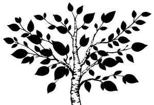 birch tree with dark coloured leaves tattoo idea