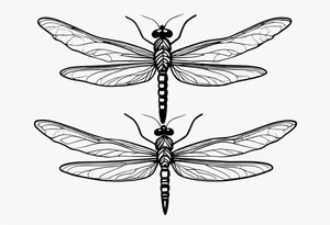 2 Dragonflies one with a lock as the chest 
and the other has a key for the tail fine black line style tattoo idea