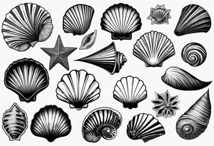Variety of shell shapes flash sheet tattoo idea