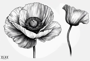 Poppy flower with the name "Elias" as the stem tattoo idea