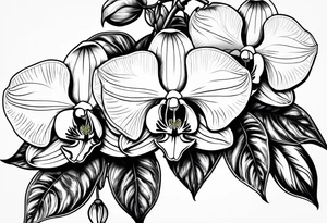 Orquídea olho de boneca e Bougainvillea com pouca sombra tattoo idea