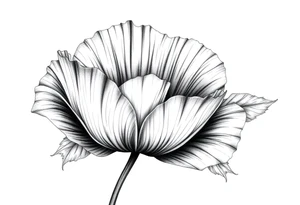 Large poppy flower tattoo idea