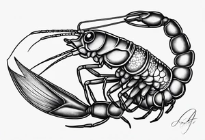 Freshwater shrimp tattoo idea