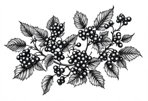 American traditional blackberry vine to wrap around an arm

I tattoo idea