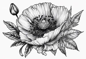 Poppy and larkspur tattoo idea