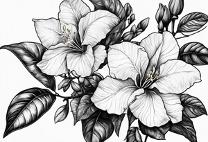 Bougainvillea e orquídea olho de boneca tattoo idea