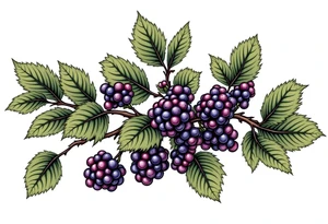 American traditional style Blackberry branch to wrap around an arm tattoo idea