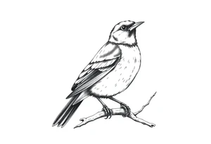 male eurasian blackbird sitting on a branch tattoo idea