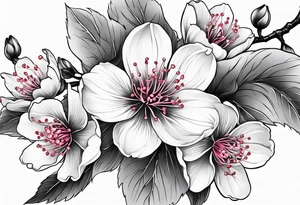 Cherry blossom for back tattoo but The whole body has to come out tattoo idea