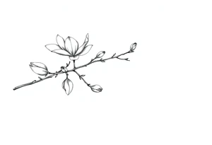 Magnolia branch long with different small half opened flowers, botanical details tattoo idea