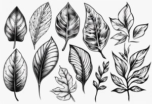 pinnatisect leaf tattoo idea