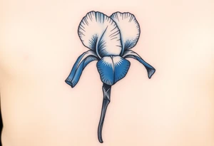 Single blue iris flower in the style of Van Gogh. One petal falling and one upright. Tattoo is to be on abdomen. tattoo idea