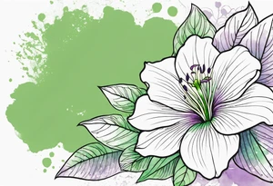 An outline of a rio dipladenia flower with a green and purple watercolor background tattoo idea