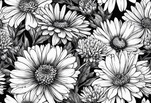 botanical illustration of full plant  aster, daisy, and carnations tattoo idea