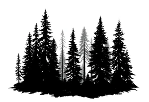 Coniferouse forest silhouette with black and gray trees tattoo idea