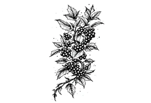 American traditional style Blackberry vine to wrap around an arm tattoo idea
