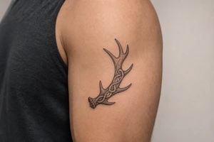Caribou antler in Norse knot work open line concept stipple shading just one antler no background make it a realistic caribou antler shape tattoo idea