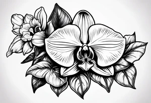 Orquídea e Bougainvillea delicadas e com pouca sombra tattoo idea