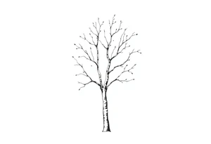 birch tree tattoo idea