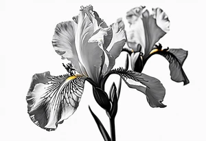 Iris flower tattoo idea
