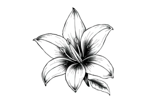 Calia Lily  flower tattoo idea