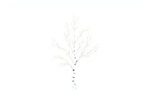 birch tree with light coloured leaves tattoo idea
