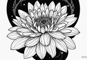 Aster flower, romans 8:18 tattoo idea