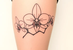 Draw of three fine line orchids different size realistic, the central part resembles a vagina. Are connected with branches tattoo idea
