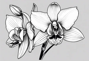 Cymbidium orchid tattoo idea