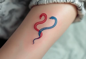 A minimalist twin snake design, one outlined in red and the other in blue, intertwined in a spiral and With word "Gemini" tattoo idea