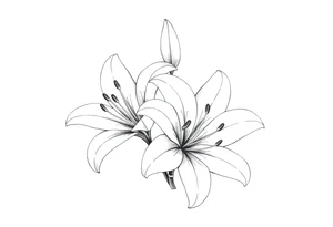 White lillies that lol like an antique etching tattoo idea