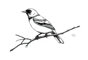 Male European Blackbird on a branch tattoo idea tattoo idea