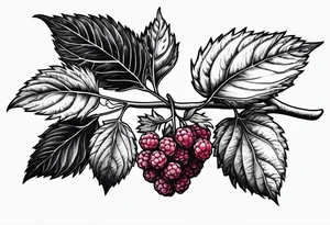 a single long raspberry branch that is growing downwards and skinny in width tattoo idea