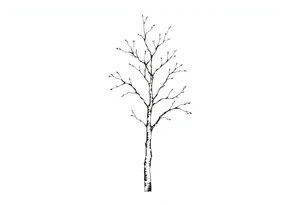 birch tree tattoo idea