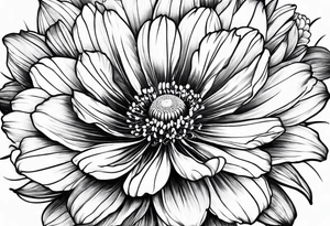 Cosmos flower tattoo idea