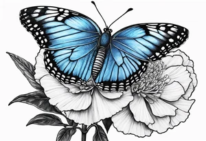 Blue butterfly moon carnation tattoo idea