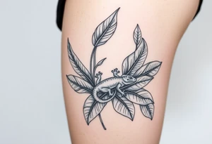 Tropical austrailian plants with hidden gecko tattoo idea