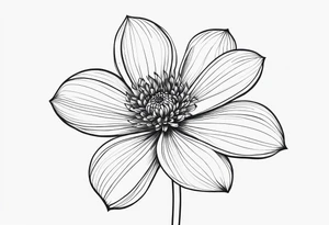 one very simple and no detailed waratha flower with stem in black and white, fine-line, very minimalistic, only a few lines tattoo idea