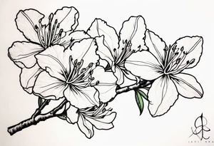 5-petal Azaleas, spread out along a long branch tattoo idea