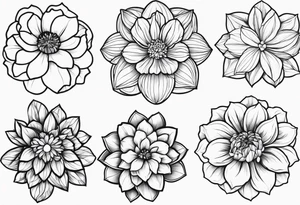 make me a black and white artwork that has one of each following flowers peony, carnation, daffodil, daphne, dahlia, desiree, daisy and rose tattoo idea