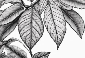 Elm Leaf tattoo idea