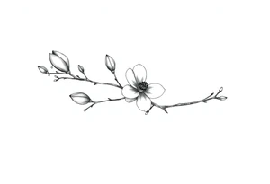 Magnolia branch long with different small almost closed flowers, with botanical details and dots tattoo idea