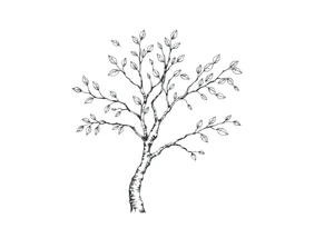 birch tree with leaves tattoo idea