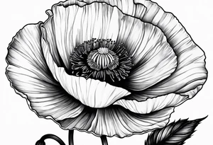 Poppy flowers sleeve tattoo idea